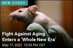 Young Spinal Fluid Improves Memory in Older Mice