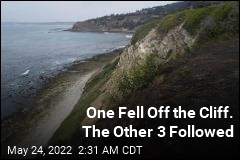 One Fell Off the Cliff. The Other 3 Followed