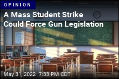 A Mass Student Strike Could Force Gun Legislation