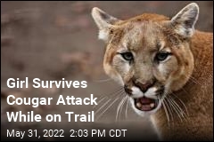 Girl, 9, Survives Rare Attack by Cougar
