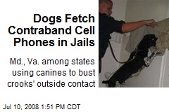 Dogs Fetch Contraband Cell Phones in Jails