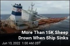 15K Sheep Drown When Ship Sinks