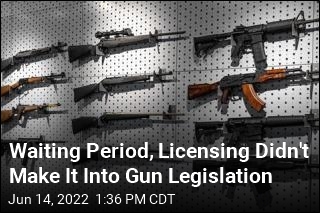 Waiting Period, Licensing Didn&#39;t Make It Into Gun Legislation