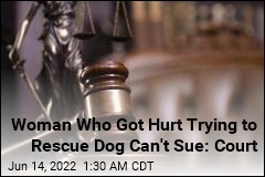 Woman Who Got Hurt Trying to Rescue Dog Can&#39;t Sue: Court