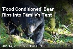 Bear Euthanized After Ripping Into Family&#39;s Tent