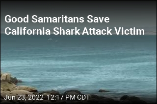 Paddleboarders Rescue California Shark Attack Victim