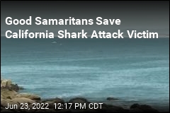 Paddleboarders Rescue California Shark Attack Victim