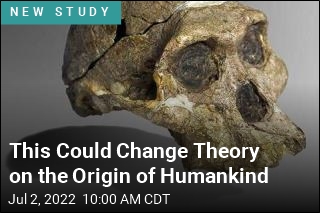 This Could Change Theory on the Origin of Humankind
