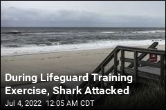 During Lifeguard Training Exercise, Shark Attacked