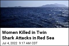 Women Killed in Twin Shark Attacks in Red Sea