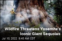 Wildfire Threatens Yosemite&#39;s Iconic Giant Sequoias