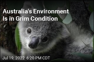 Australia&#39;s Latest Environment Survey Is Depressing