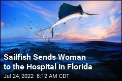 Sailfish Sends Woman to the Hospital in Florida