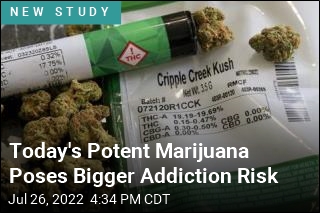 Today&#39;s Potent Marijuana Poses Bigger Addiction Risk