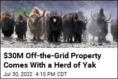 $30M Survivalist Ranch Comes With a Herd of Yak