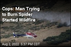 Cops: Man Trying to Burn Spider Started Wildfire