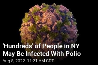 &#39;Hundreds&#39; of People in NY May Be Infected With Polio