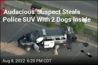 Handcuffed Suspect Steals Police Car With 2 Dogs Inside