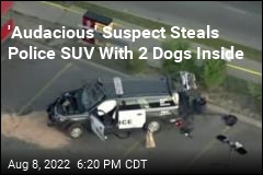 Handcuffed Suspect Steals Police Car With 2 Dogs Inside