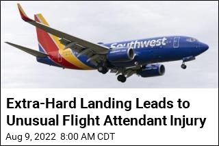 Flight Attendant Suffers Broken Back From &#39;Firm Landing&#39;