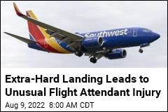 Flight Attendant Suffers Broken Back From &#39;Firm Landing&#39;
