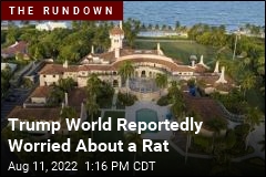 Trump World Reportedly Worried About a Rat