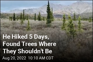 He Hiked 5 Days, Found Trees Where They Shouldn&#39;t Be