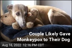 Couple Likely Gave Monkeypox to Their Dog