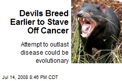 Devils Breed Earlier to Stave Off Cancer