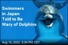Swimmers in Japan Warned About Dolphins