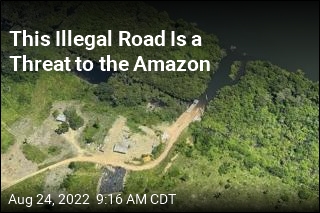 This Illegal Road Is a Threat to the Amazon