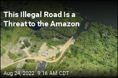 This Illegal Road Is a Threat to the Amazon