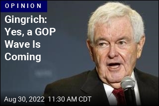 Gingrich: Yes, a GOP Wave Is Coming