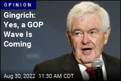 Gingrich: Yes, a GOP Wave Is Coming