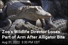 Zoo&#39;s Wildlife Director Loses Part of Arm After Alligator Bite