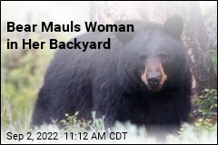 Bear Mauls Woman in Her Backyard