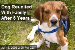 Dog Reunited With Family After 5 Years