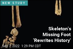 Stone Age Skeleton&#39;s Missing Foot Is Notable
