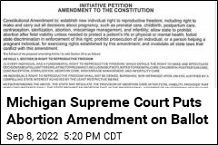 Michigan Supreme Court Puts Abortion Amendment on Ballot