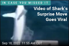 Video of Shark&#39;s Surprise Move Goes Viral