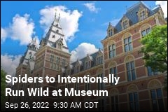 Spiders to Intentionally Run Wild at Museum