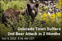 Colorado Town Suffers 2nd Bear Attack in 2 Months