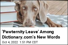 &#39;Pawternity Leave&#39; Among Dictionary.com&#39;s New Words