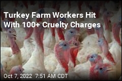11 Turkey Farm Workers Charged in Massive Cruelty Bust