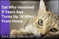 &#39;I&#39;d Like to Know How the Heck That Cat Got All the Way to Idaho&#39;