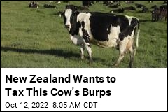 New Zealand Wants to Tax This Cow&#39;s Burps