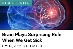 Brain Plays Surprising Role When We Get Sick