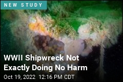 WWII Shipwreck Not Exactly Doing No Harm