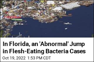 In Florida, an &#39;Abnormal&#39; Jump in Flesh-Eating Bacteria Cases