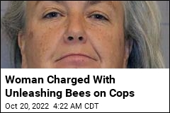 Woman Accused of Freeing Swarm of Bees on Deputies